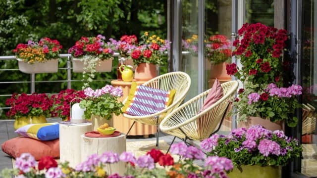 Jakie kwiaty na balkon w maju - najlepsze rośliny, które zachwycą Jakie kwiaty na balkon w maju - najlepsze rośliny, które zachwycą